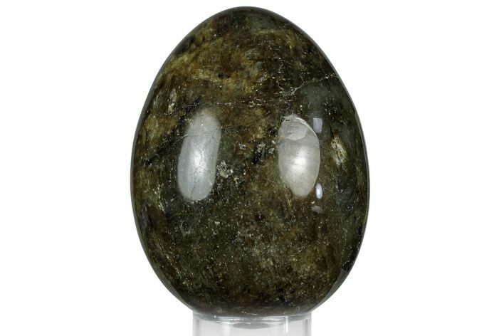 Flashy, Polished Labradorite Egg - Madagascar #356469